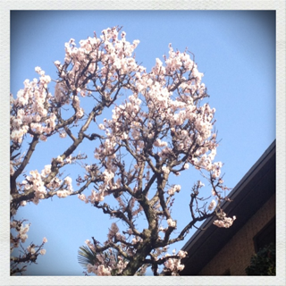 image-20130309225905.png