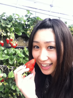image-20130401001710.png
